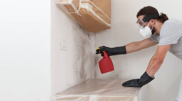 Professional Bathroom Mold Removal technician working in Lafayette, TN