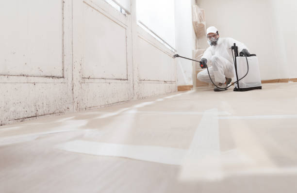 24/7 Emergency Bathroom Mold Removal experts in Lafayette, TN